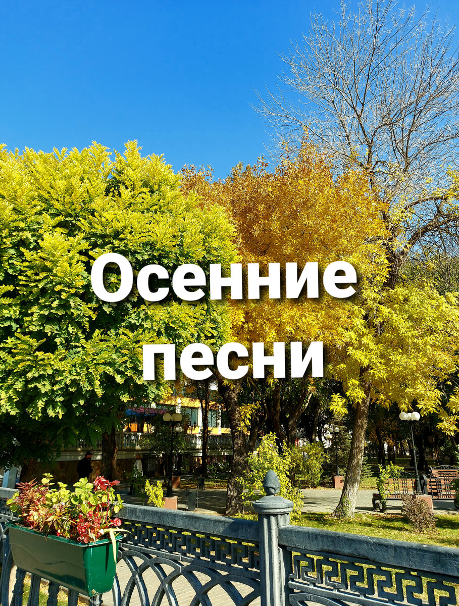 Осень в Братском садике. Астрахань. (Фото автора)