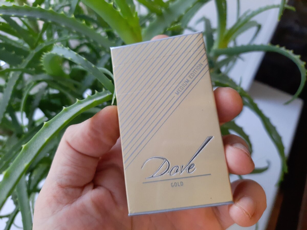 Дав белоруссия. Сигареты dove Gold. Сигареты dove Gold Slim. Сигареты Dave Compact Gold. Белорусские сигареты dove.