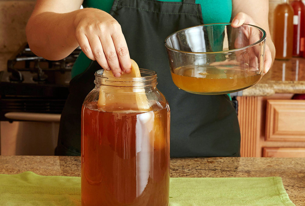 Чайный гриб. Чайный гриб каркаде. Чайный гриб Чаевик. Kombucha чайный гриб. Чайный гриб 90х.