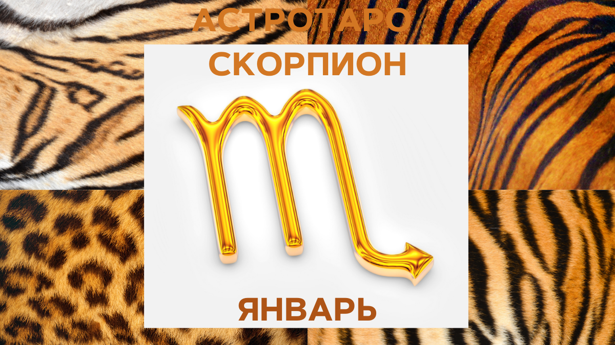 Скорпион и январь