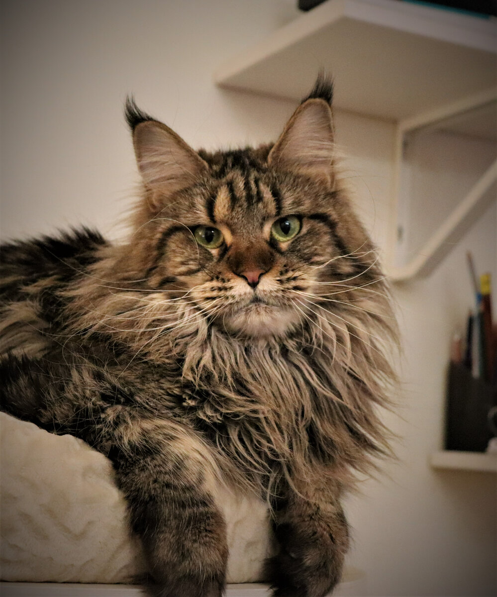 Фото из личного архива.