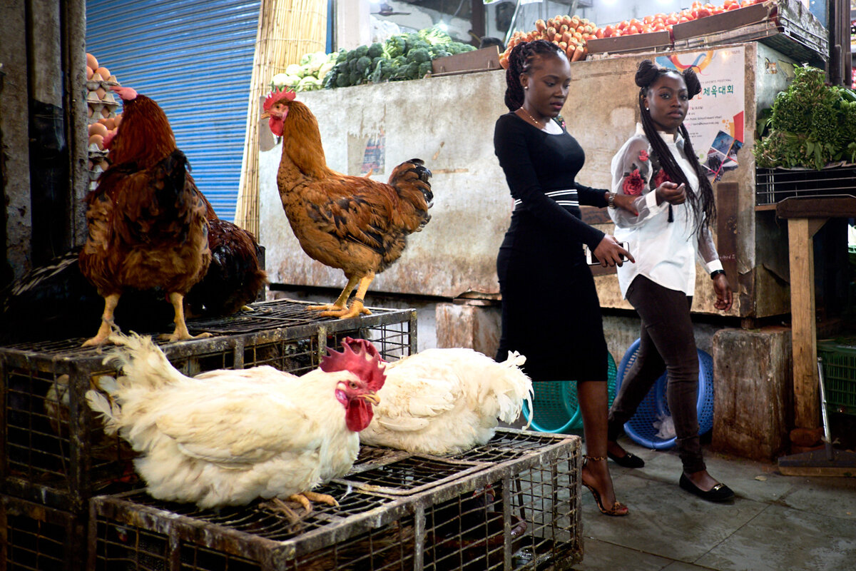 Индия, Нью-Дели. Фото Анатолия Струнина