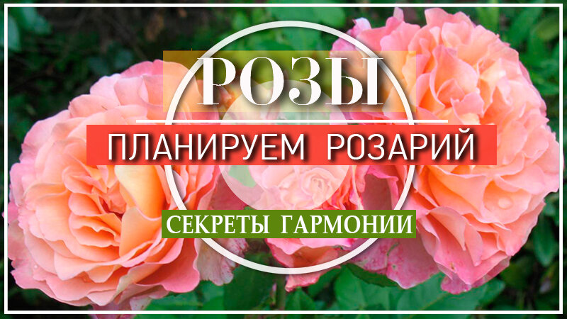 Как сделать красивые клумбы своими руками: вдохновляющие фото + инструкции - Лайфхакер