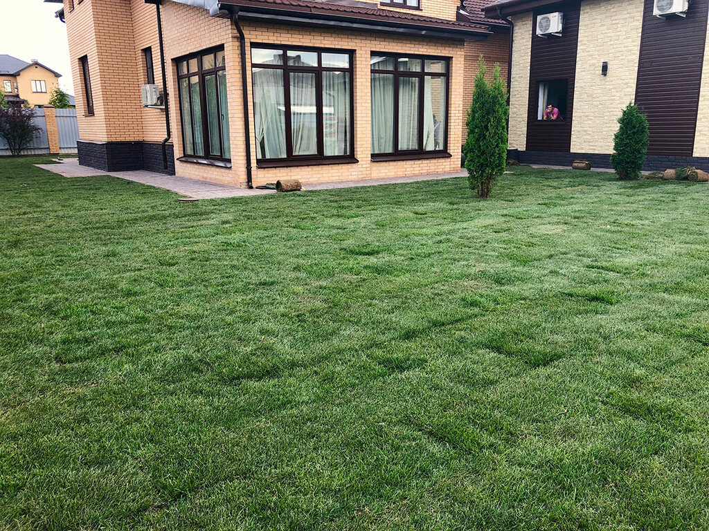 Фото с сервиса Яндекс-картинки.