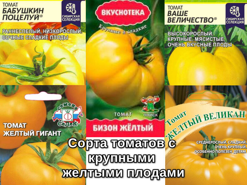 Эти сорта желтых томатов с очень крупными плодами