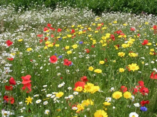 Фото из инета