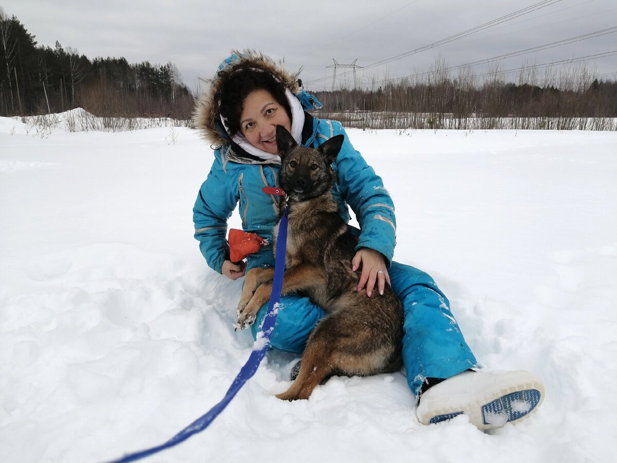 Малышка Азалия готова любить своего человека. Изящная собачка для проживания в квартире