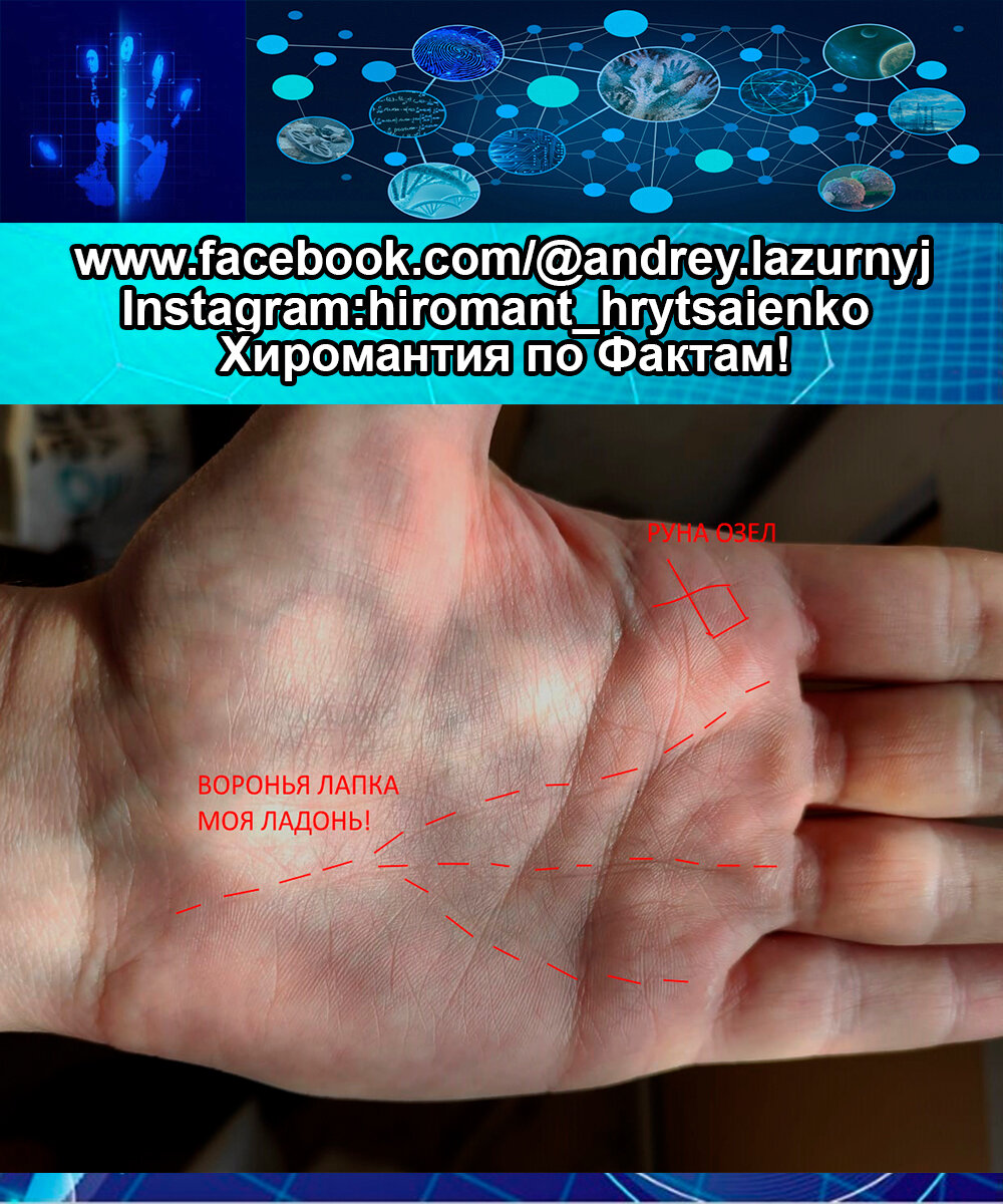 Воронья лапа на ладони