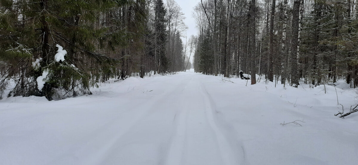 Дорога к участку Смирновский