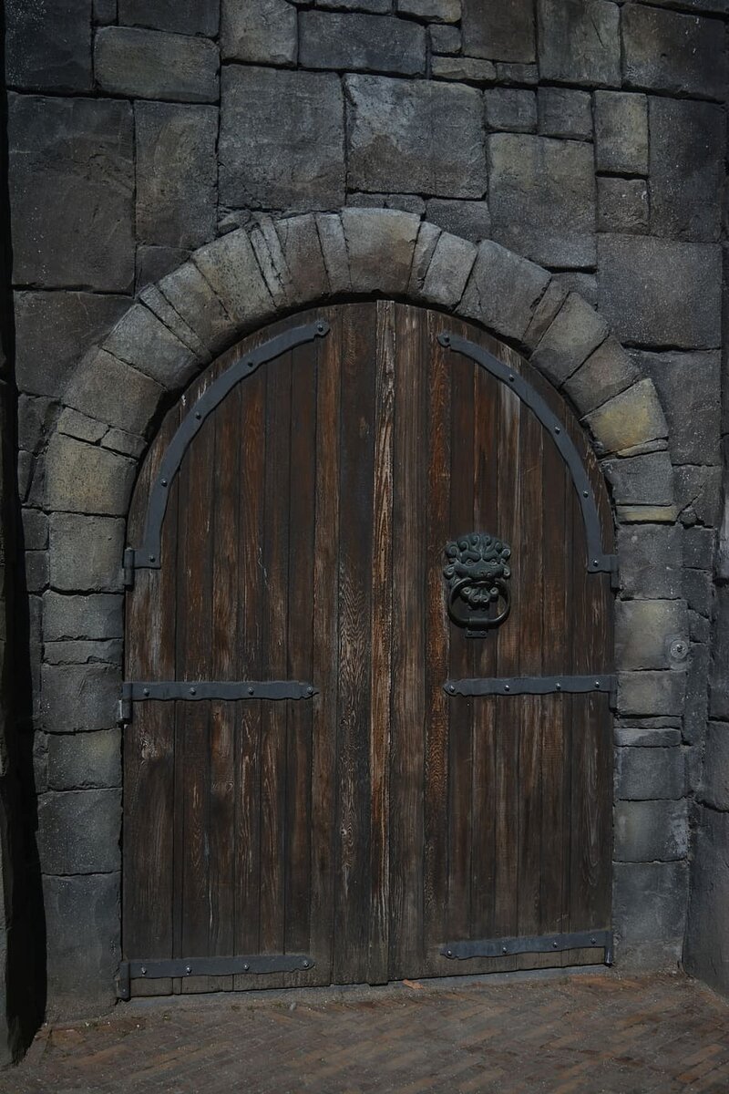 Открой дверь в подземелье. Ворота замка. Старинные ворота замков. Средневековые двери в замках. Средневековые ворота.