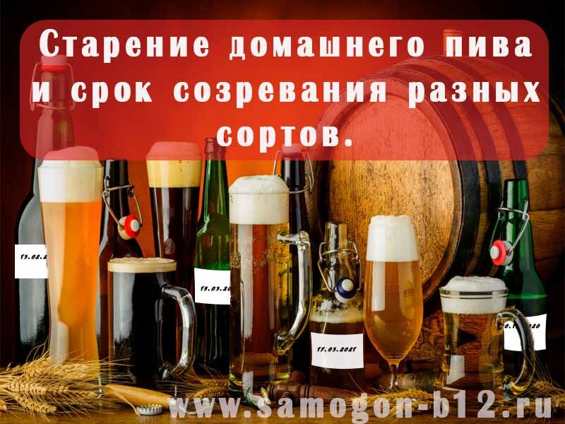 Срок созревания и старение домашнего пива исходя из собственного опыта 🍻