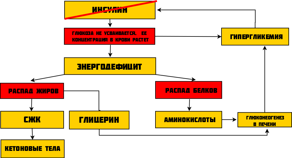 Простая схема порочного круга при кетоацидозе