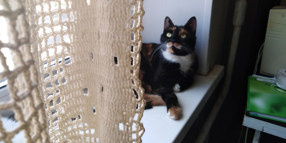 Ее предки тоже были степными и лесными хищниками