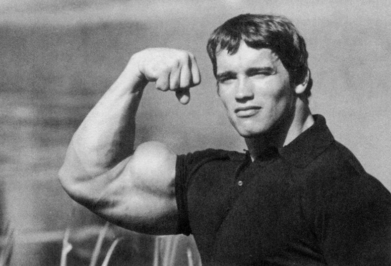 Арнольд шварценеггер в детстве