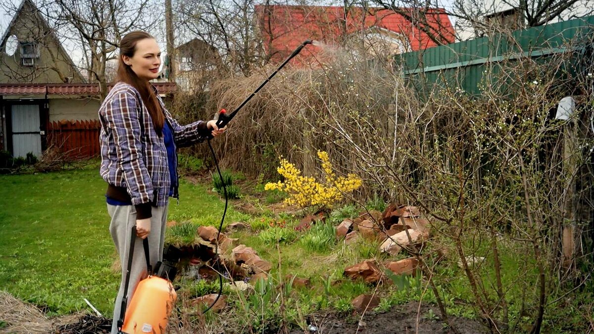 Главное достоинство биопрепаратов - сочетание эффективности и экологичности