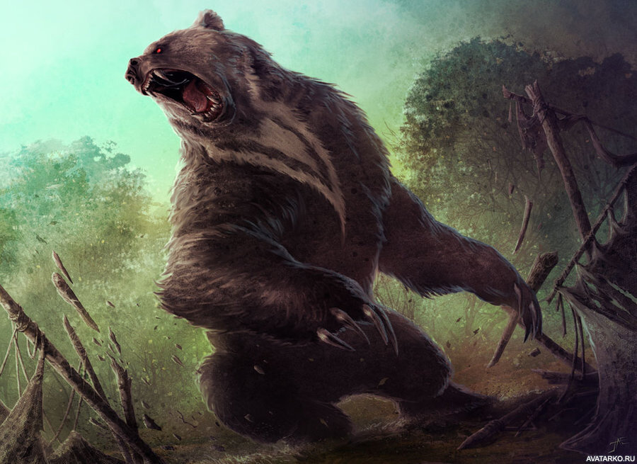 Яндекс картинки.