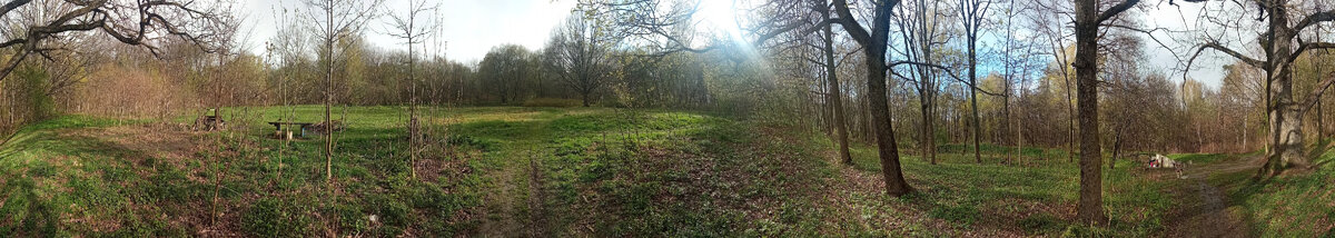 Вековой дуб.  Павлинский лесопарк первоначально являлся парком усадьбы Троицкое-Кайнарджи. До сих пор отчётливо сохранились аллеи, прорубленные в XVII-XVIII вв. при Румянцеве-Задунайском и его сыновьях. В лесопарке есть дуб, по слухам говорят , что около этого дуба гуляла Екатерина II .