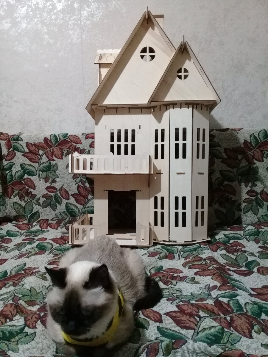 Дом, который строит Мушу