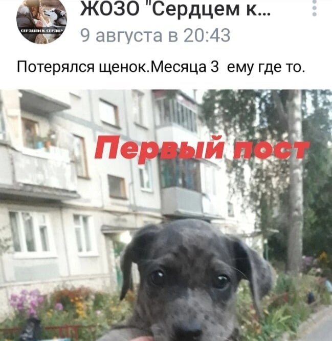 Пост про Сару