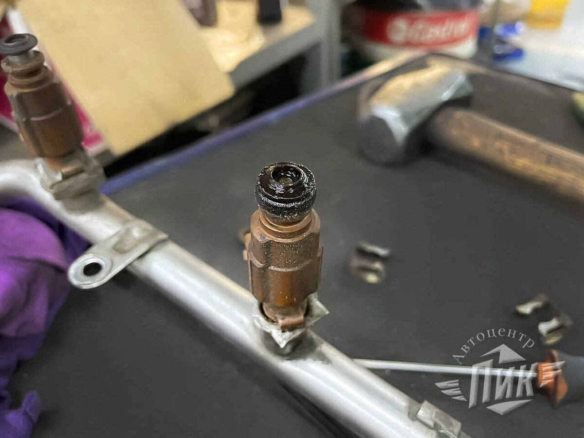 Вот и виновница!