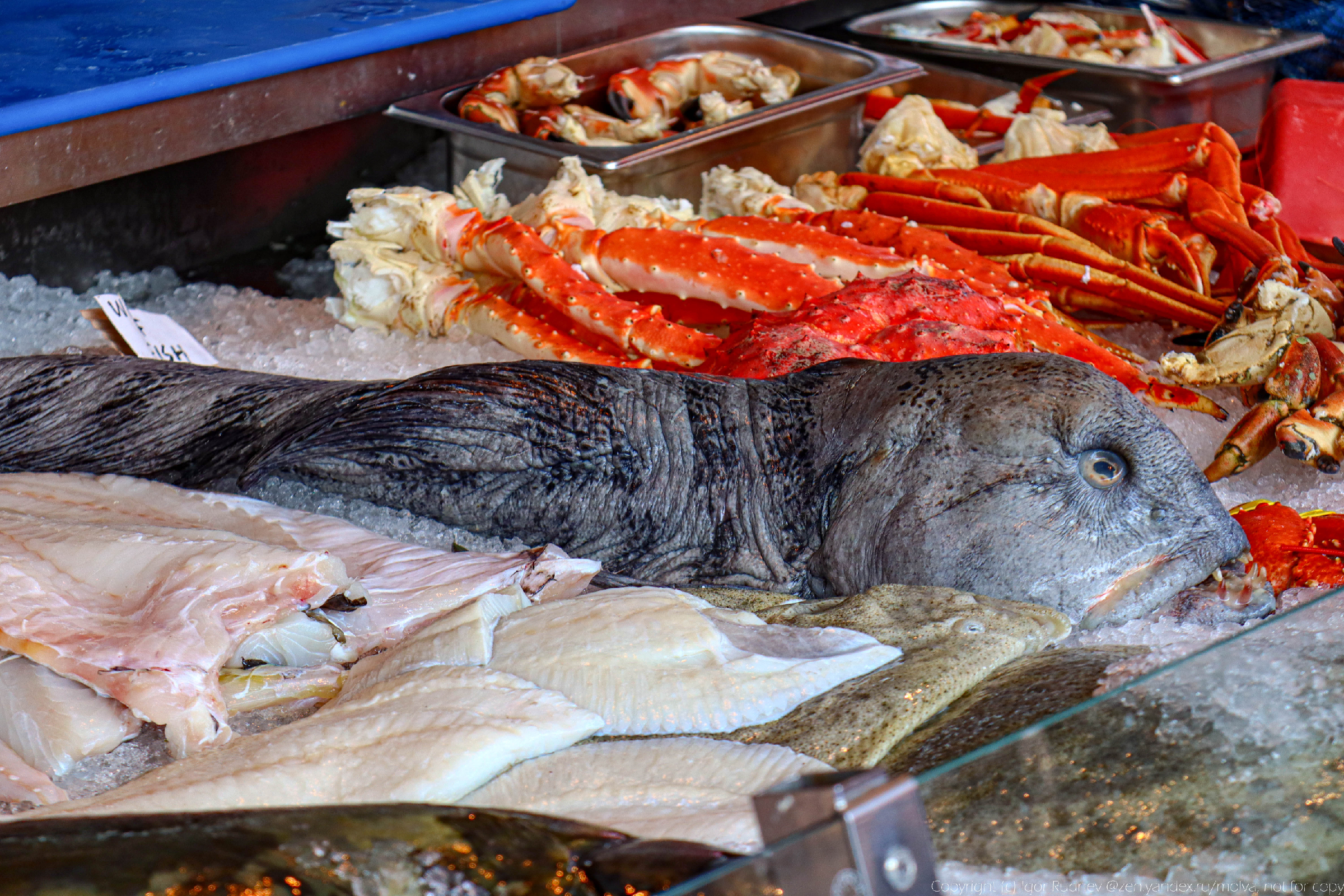 Что продают на рыбном рынке в Норвегии? Просьба не смотреть на цены3