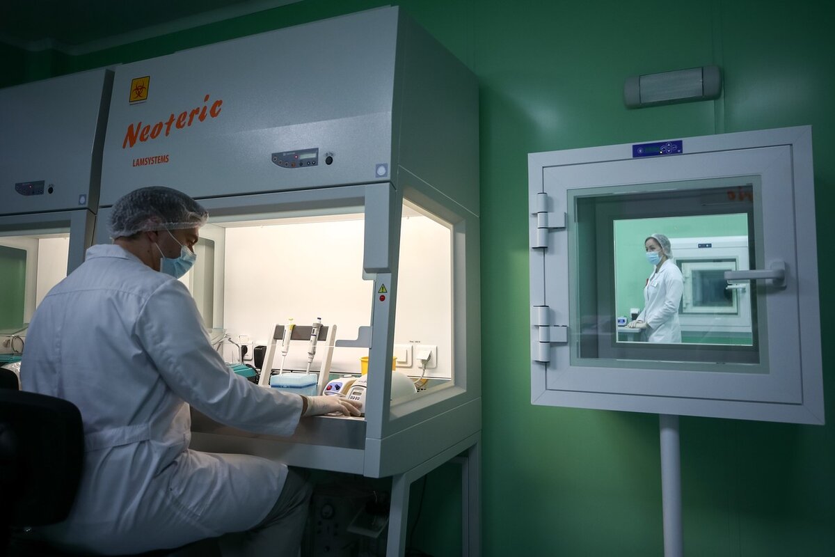 Фото: ТАСС / Сергей Бобылев