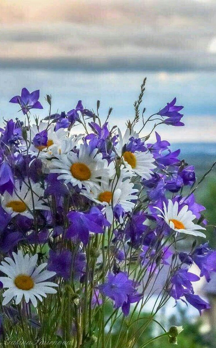 Просто красивая картинка из открытых источников