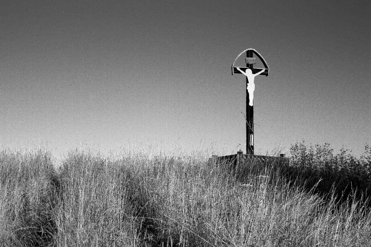 Изображение из свободных источников