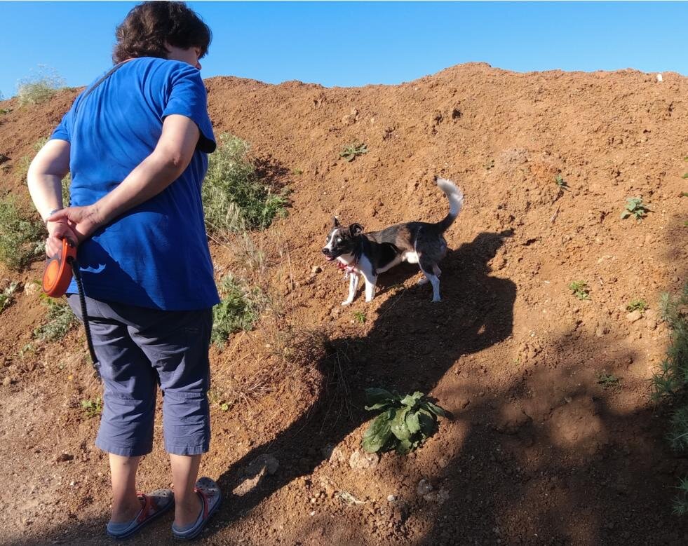 Бублик на занятии со своей хозяйкой