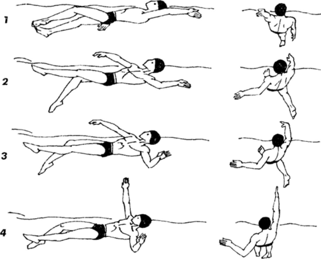 Техника плавания на спине для начинающих в картинках пошагово