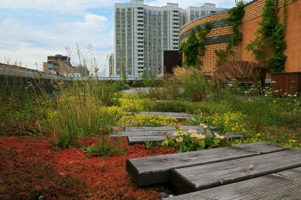 Добавьте описание