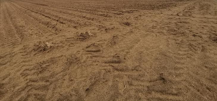    Азотные страсти кипят в мире