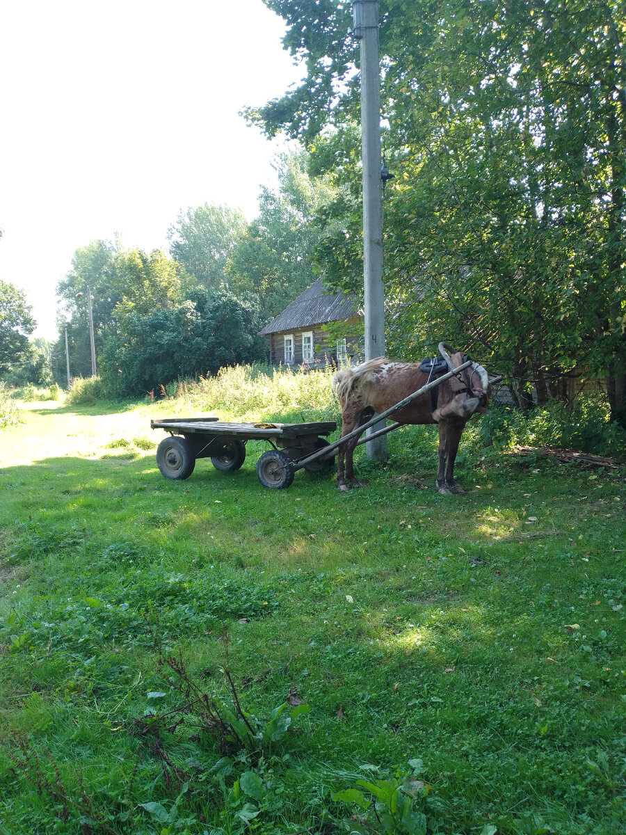 Фото для иллюстрации