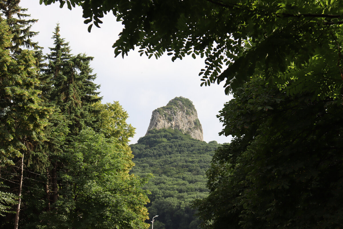 Мед в горах