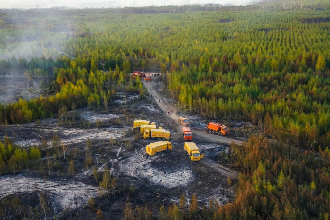    Фото из Телеграм канала Сергея Собянина