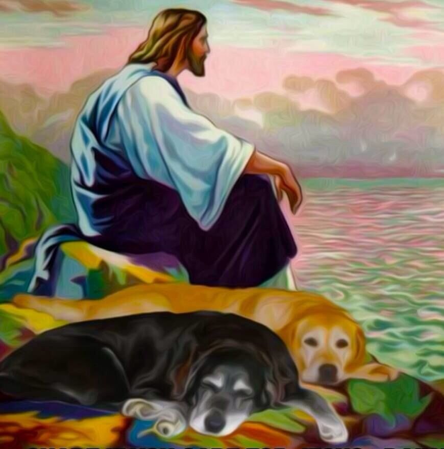 Бог дает собаку