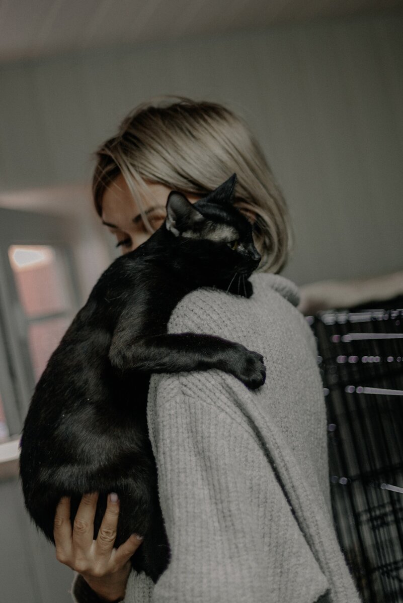 #хондасчастливыйхвост 

И эта кошка как слышится, так и выглядит. Про такую говорить только с высоко поднятой головой, гордо так, будто в лотерею выиграл, несусветное богатство заполучил!

