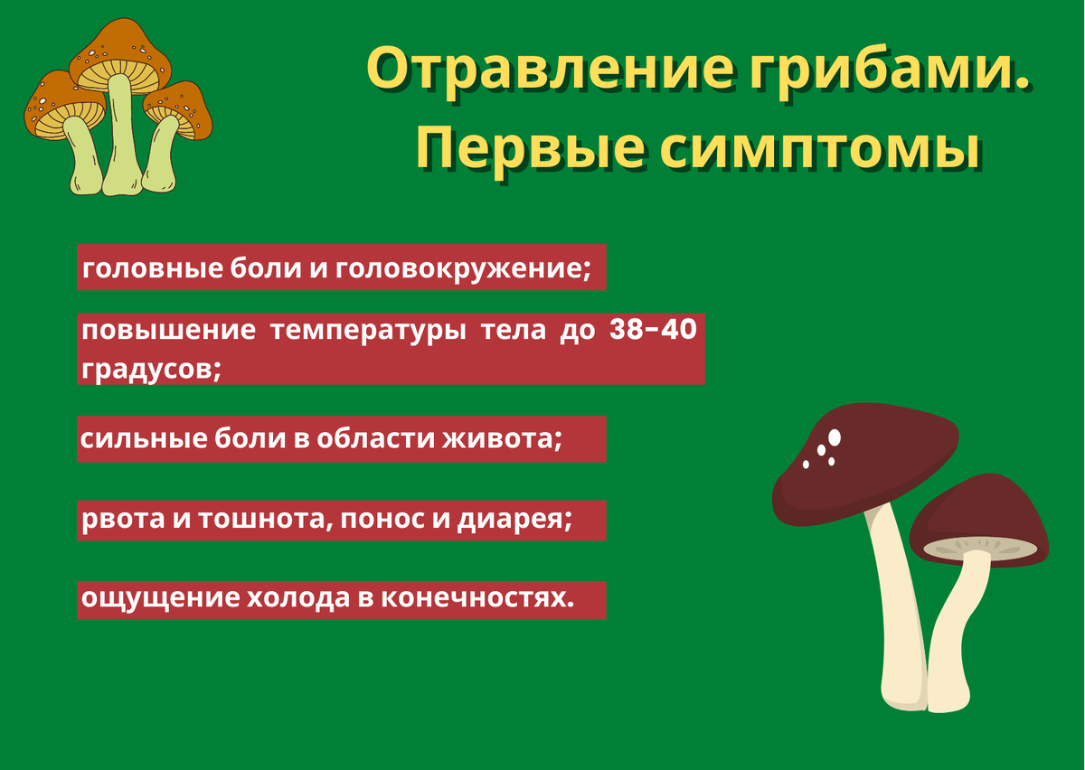 Меры профилактики отравления ядовитыми грибами. Симптомы отравления ядовитыми грибами. Оказание 1 помощи при отравлении ядовитыми грибами. Отравление грибами карта вызова. Отравление ядовитыми грибами симптомы и первая помощь.