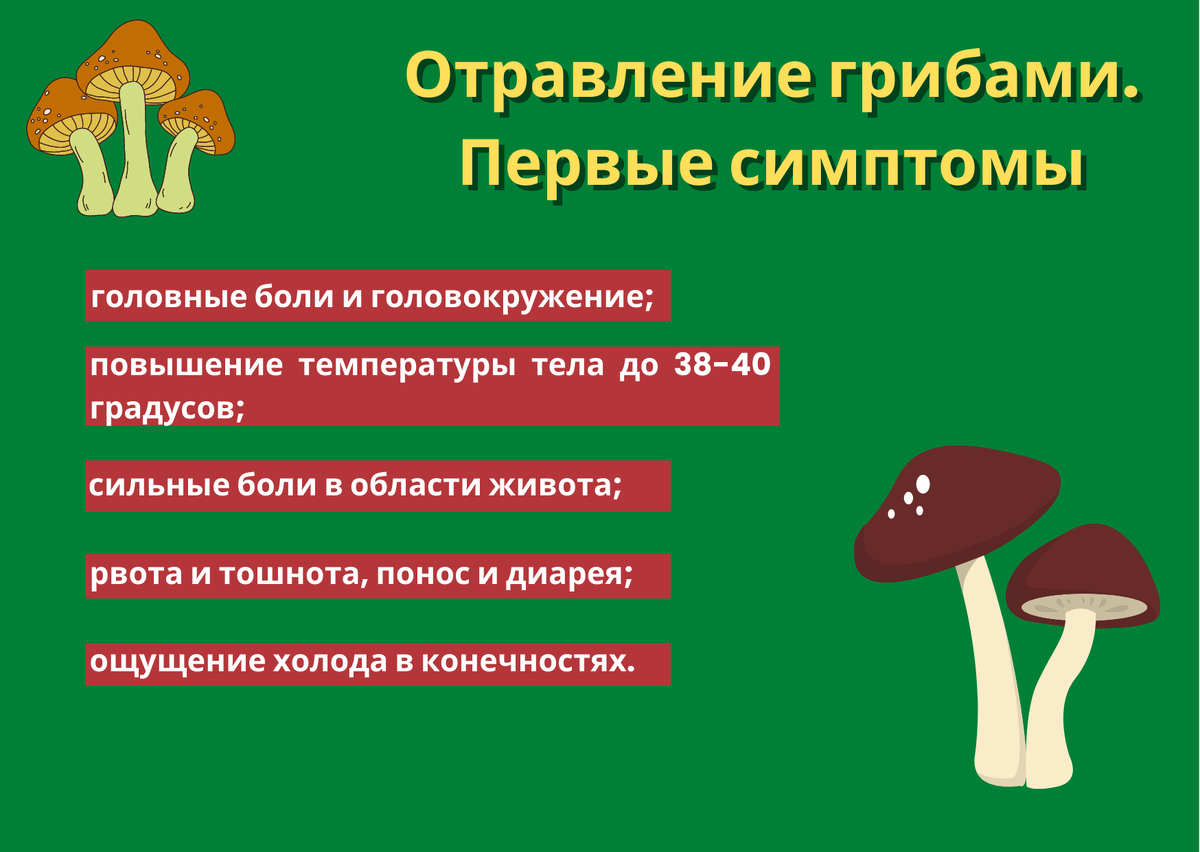 Пищевое отравление: что делать при пищевом отравлении? Симптомы и профилактика пищевого отравления