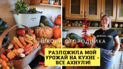 Лето отдыхала и урожай собрала такой, что на стол не влез!