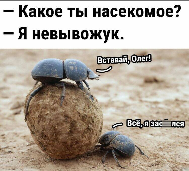 Картинка добыта  в интернете.