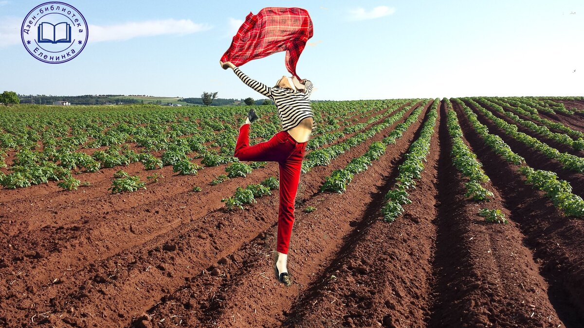 Фото из открытых источников, коллаж авторский