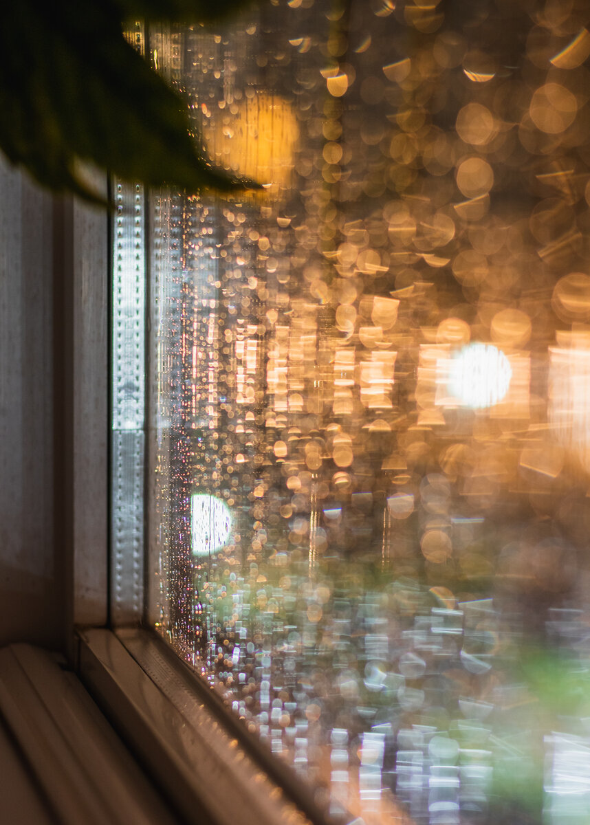 Изображение Rosenke на Unsplash