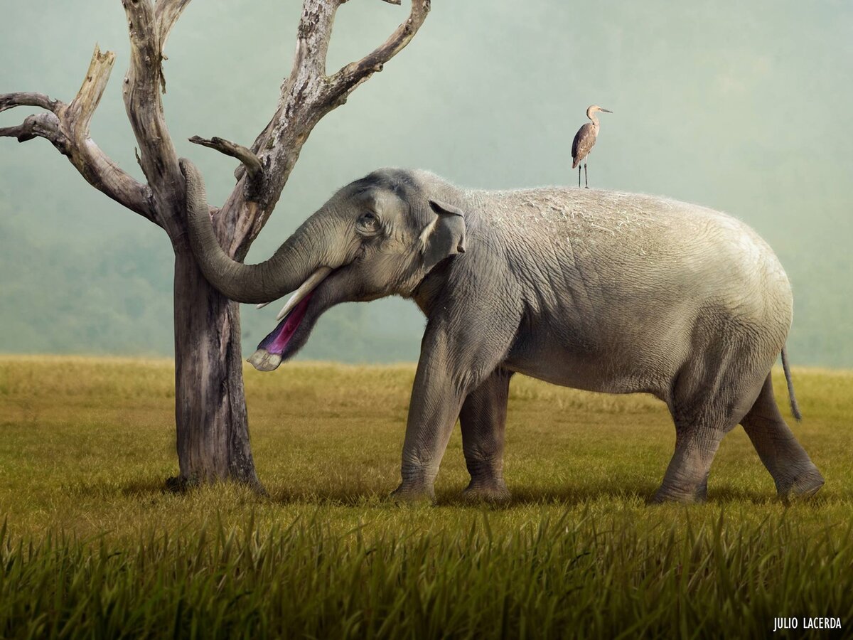 Когда с похмелья пошёл на работу…