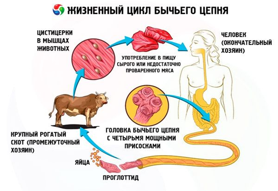 http://cgon.rospotrebnadzor.ru/content/63/1731