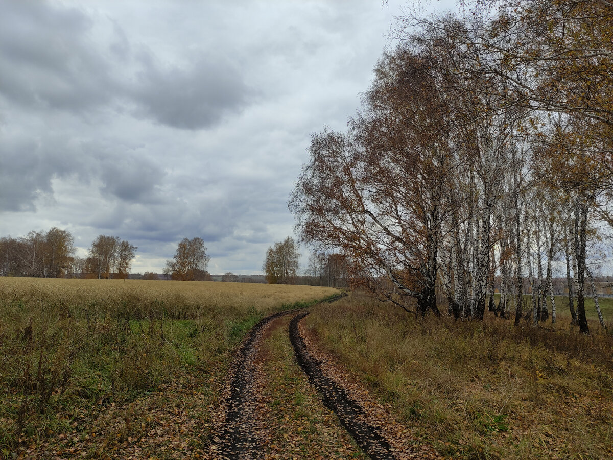 И в поля
