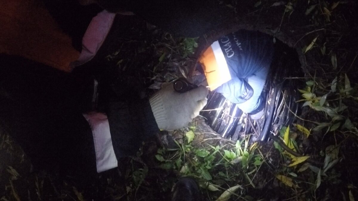 Фото: МКУ "Центр гражданской защиты" города Ярославля / vk.com