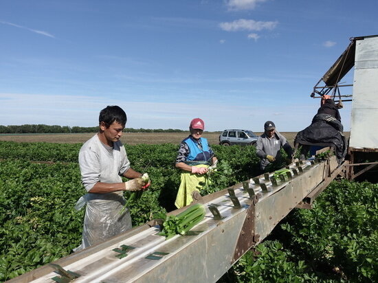     Фото пресс-службы Минсельхоза РК