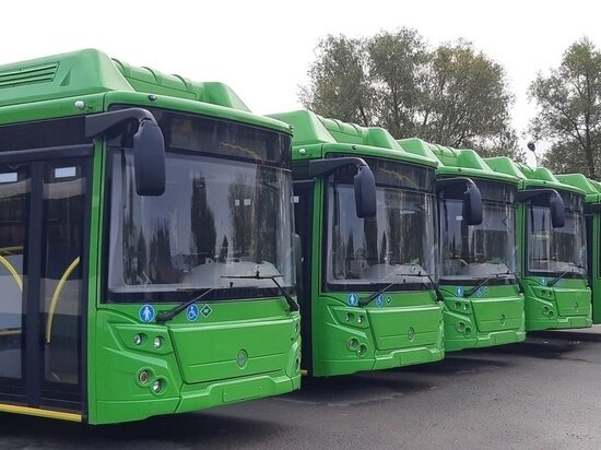     Фото: Псковпассажиравтотранс