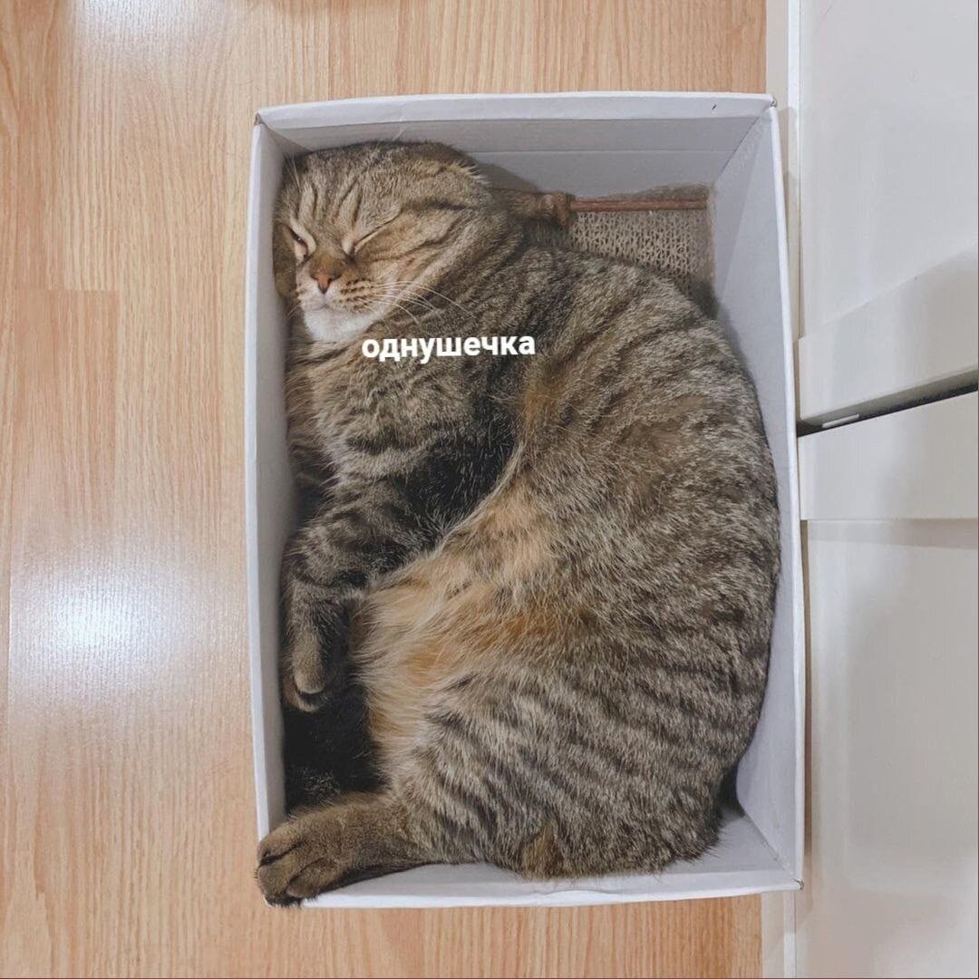 иллюстрация из яндекс картинки.